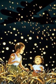 Jaquette de Grave of the Fireflies